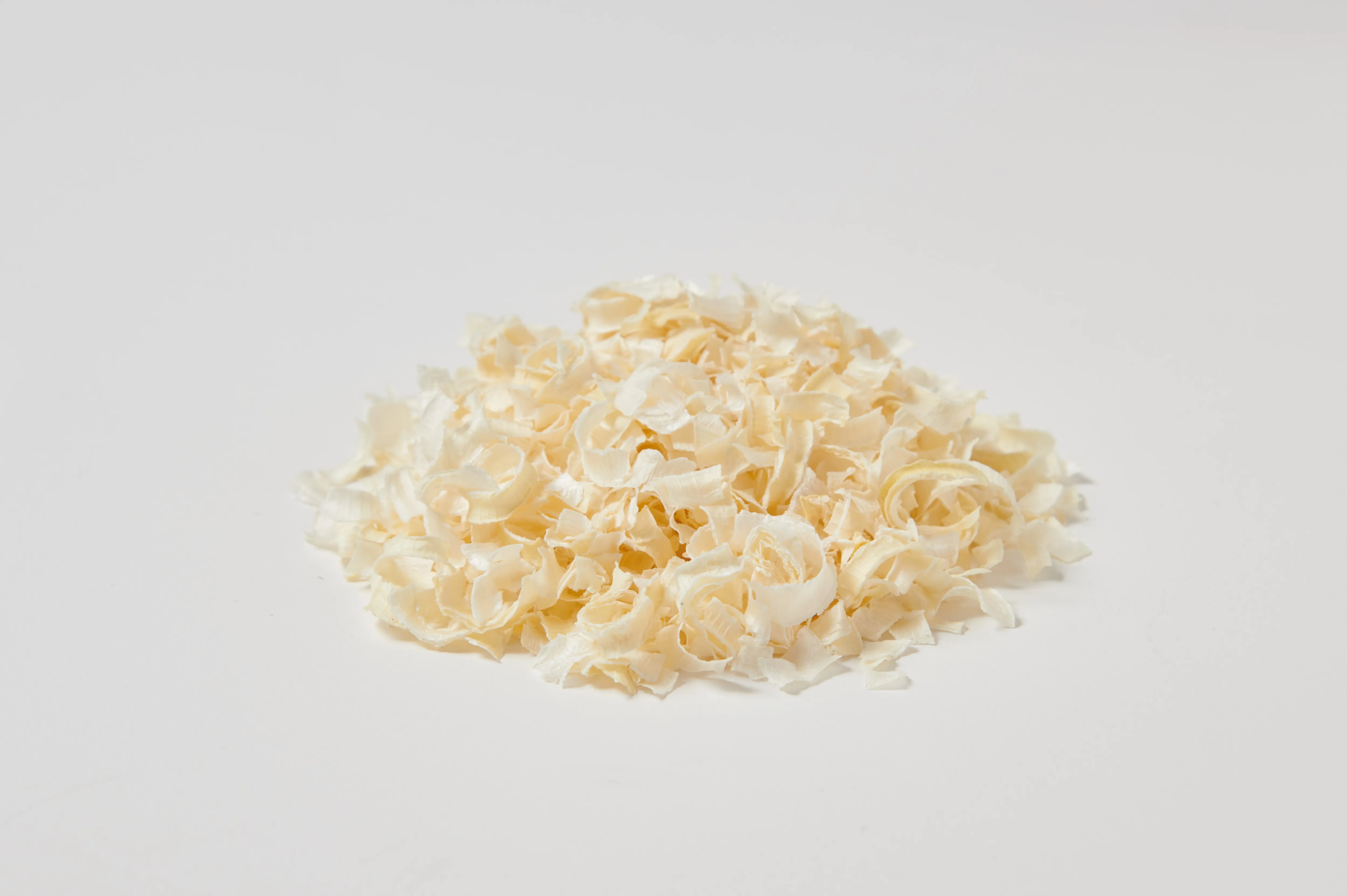 AD 白ネギ/FD White Leek